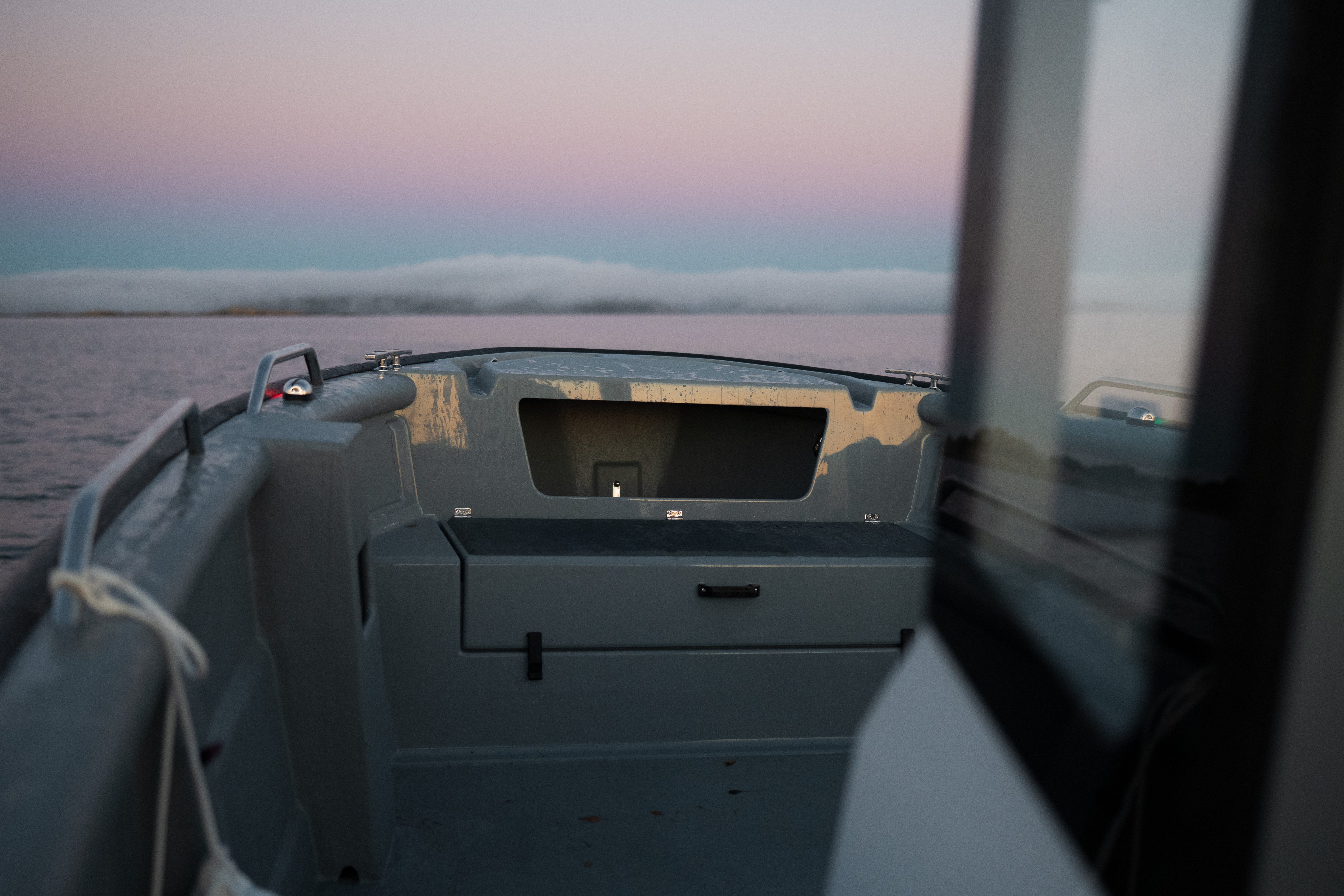 Sting 725 Pro T Top TT2 0012